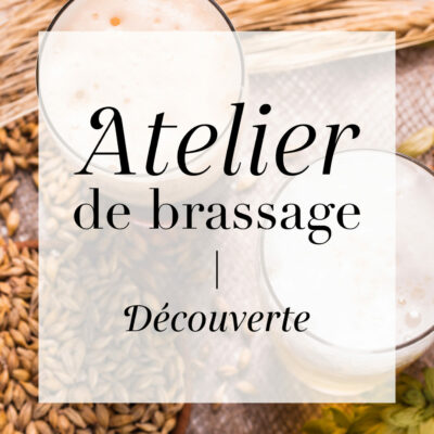 https://brasserie-beauseigne.com/wp-content/uploads/2023/11/Atelier-brassage-Brasserie-beauseigne-biere-artisanale-haute-loire2-1-400x400.jpg